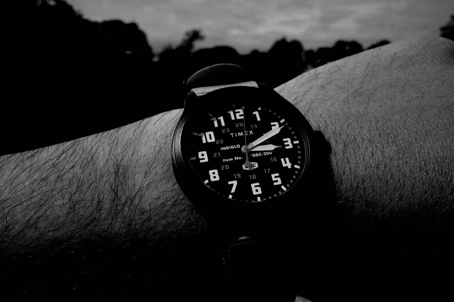A Timex watch on a wrist